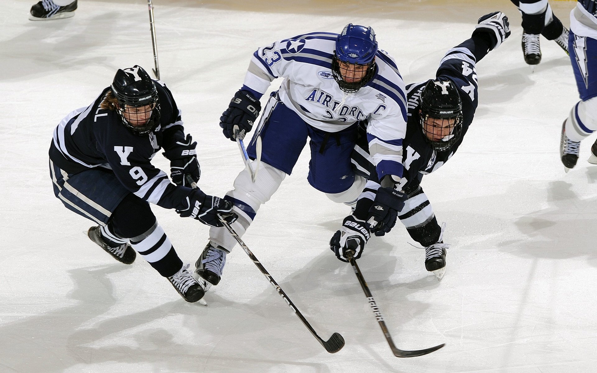 LCK新人训练营启动，lol新手训练营领取的东西在哪