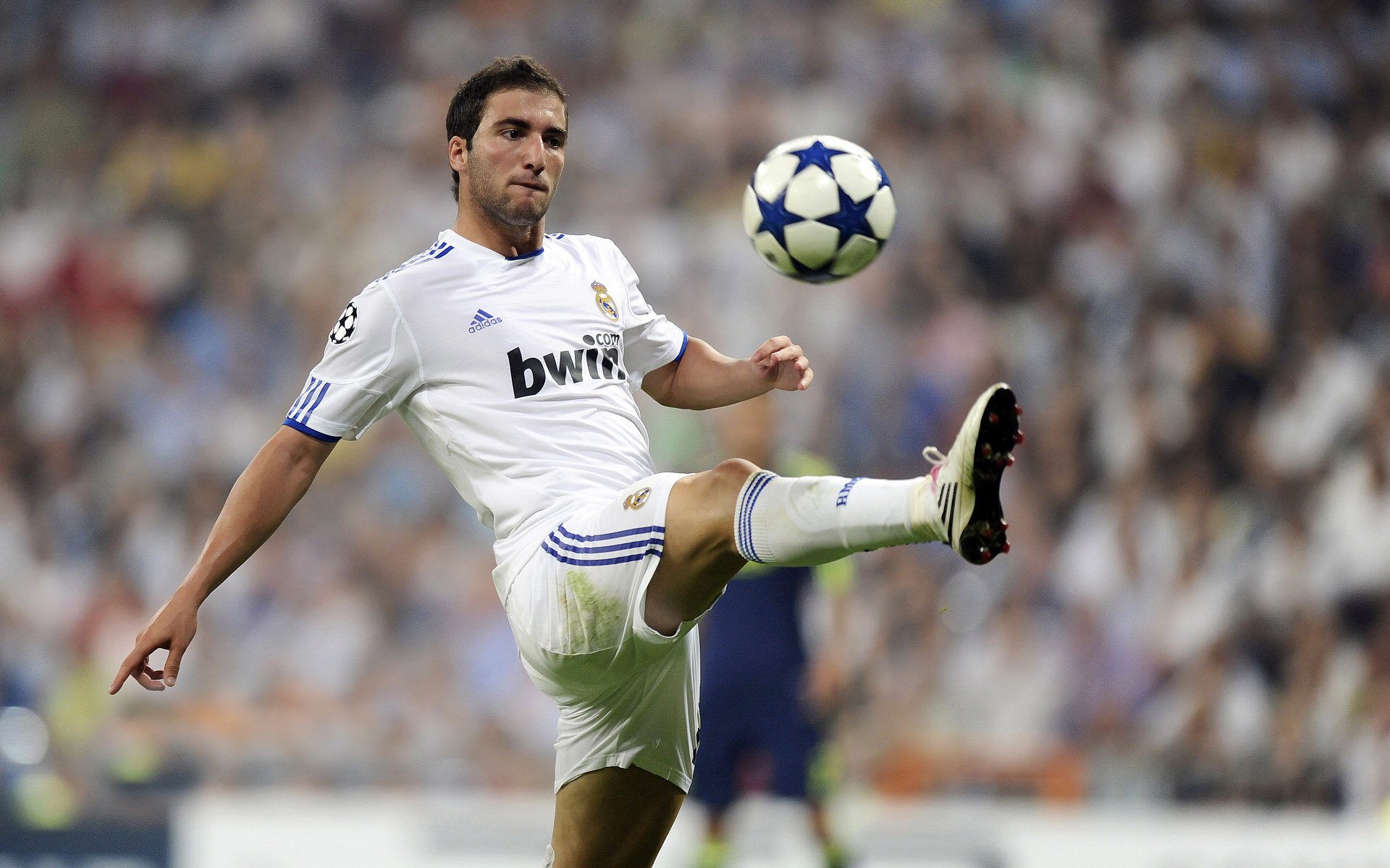 河北华夏幸福主场击败天津泰达，豪取三分，河北华夏幸福vs天津泰达